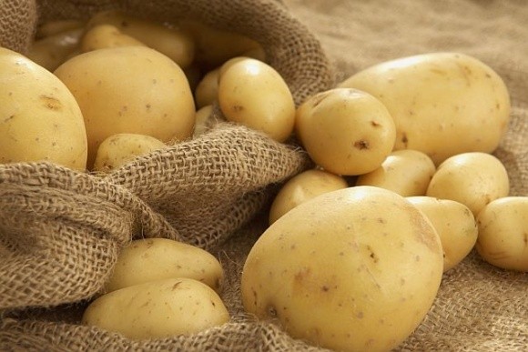 Імпортна картопля знизила ціни на місцеву продукцію фото, ілюстрація