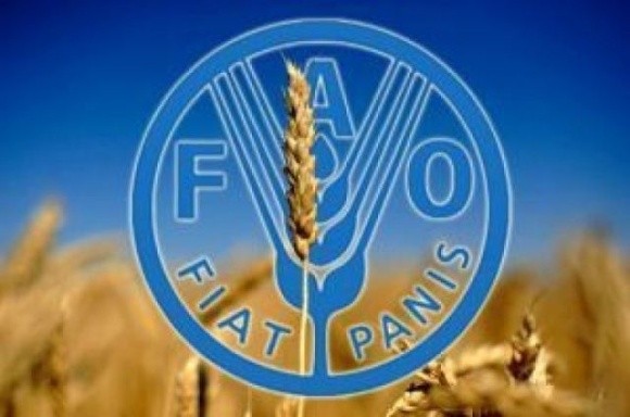 Індекс продовольчих цін ФАО призупинив падіння фото, ілюстрація