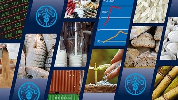 У жовтні відбулось зниження індексу продовольчих цін ФАО фото, ілюстрація