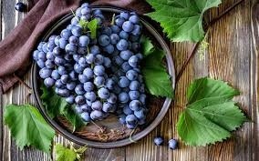 Херсонські фермери прогнозують гарний урожай винограду  фото, ілюстрація