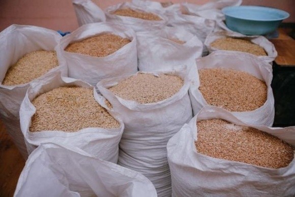 Інституту сільського господарства відправив аграріям 220 т зерна для посівної фото, иллюстрация