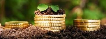 Інвестиції в український  аграрний бізнес у 2017/18 МР зросли на 40% фото, ілюстрація