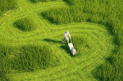 Створена платформа зі сталого агробізнесу – Sustainable Agribusiness Forum (SAF Україна) фото, ілюстрація