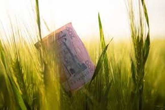 На AgroInvestDay розкажуть про актуальні тенденції та ризики інвестування в агросектор України фото, ілюстрація