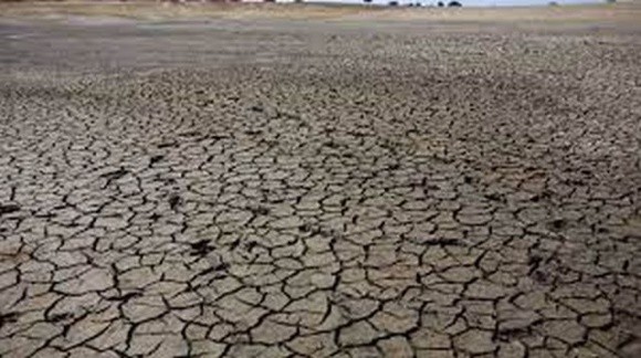 В деяких регіонах Іспанії фермери через посуху скоротили зрошення на 90% фото, ілюстрація