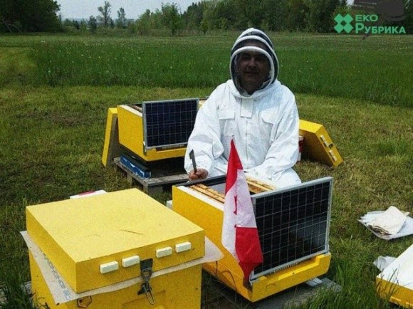 Інформатика та бджільництво: під Києвом встановлять IT-пасіку зі смарт-вуликами фото, ілюстрація