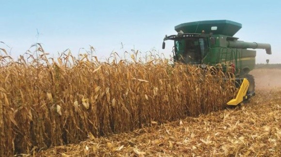 Жнива-2020: українські аграрії намолотили понад 58 млн т зерна фото, ілюстрація