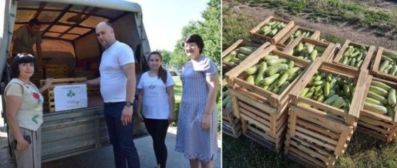 На Чигиринщині вирощують овочі для ЗСУ фото, ілюстрація