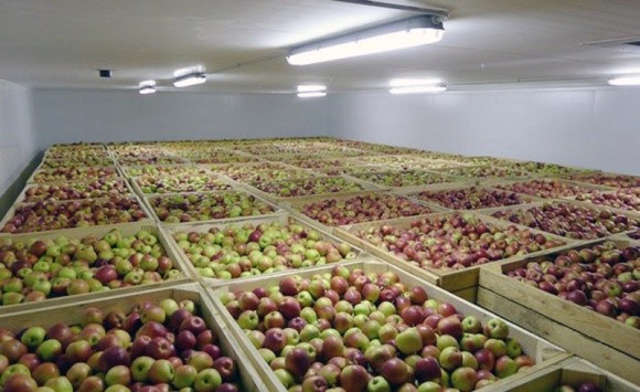  У Дніпропетровській області побудують найбільший в Україні холодильник для зберігання яблук фото, ілюстрація