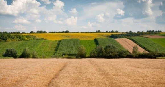 За 9 місяців 2023 року капіталізація ринку сільгоспземель зросла на 115,1 млрд грн, – KSE фото, ілюстрація