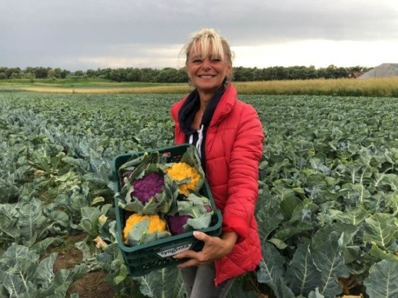 Українські фермери почали вирощувати унікальний овоч фото, ілюстрація
