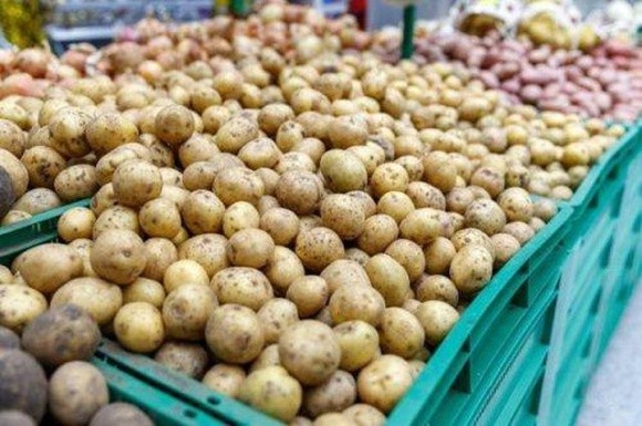 Tesco у Великобританії переходить на продаж немитої картоплі! фото, ілюстрація