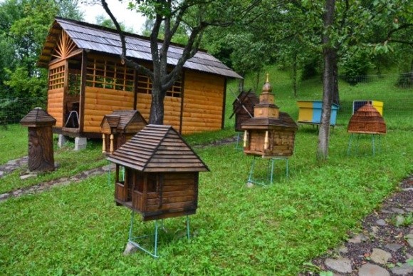 В Україні створили першу пасіку з рідкісними автохтонними бджолами фото, ілюстрація