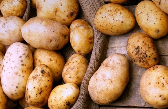 Україна втричі збільшила експорт картоплі фото, ілюстрація