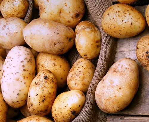 Ціни на картоплю в Україні - найвищі за останні 10 сезонів фото, ілюстрація