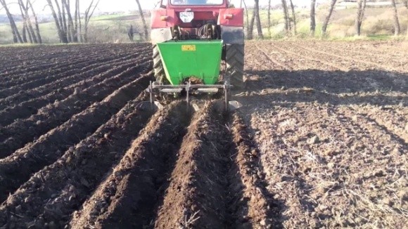 На Чернігівщині уже садять картоплю! фото, ілюстрація