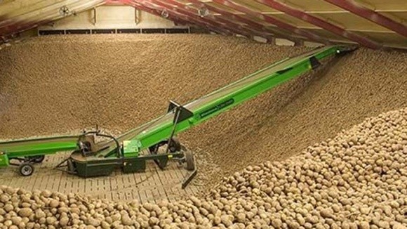 Росія подвоїла імпорт картоплі фото, ілюстрація