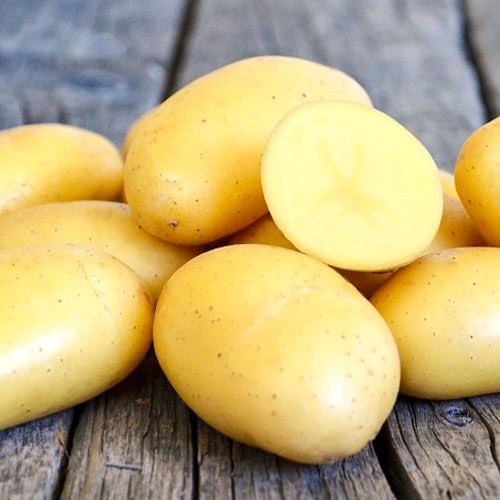 Фермери України знизили ціни на картоплю фото, ілюстрація