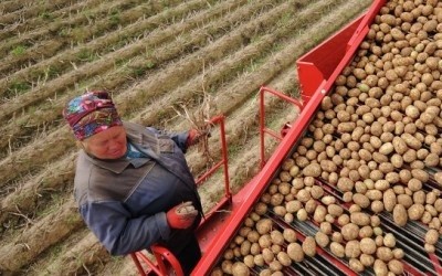 На Миколаївщини аграріїв навчають, як вести плодоовочевий бізнес фото, ілюстрація