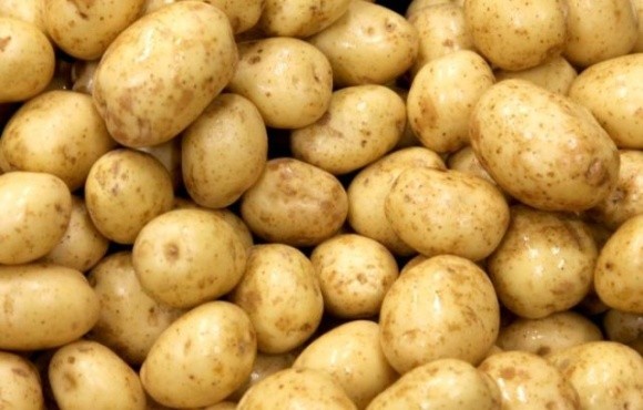 В Україні на вирощуванні картоплі можна заробити майже $2000 з 1 га фото, ілюстрація