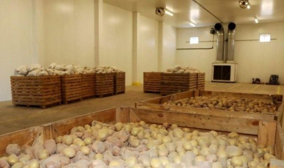  «Контінентал» просить владу сприяти введенню в експлуатацію картоплесховища на Львівщині фото, ілюстрація