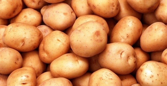 Українські картоплярі не можуть експортувати продукцію до Євразійського Економічного Союзу через відсутність тест-систем в державних лабораторіях  фото, ілюстрація