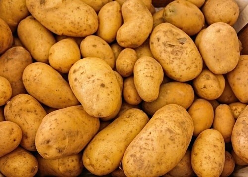 Імпорт картоплі з Білорусі збив ціни в Україні фото, ілюстрація