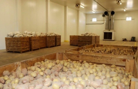 Картофелеводам государство компенсирует строительство картофелехранилищ фото, иллюстрация