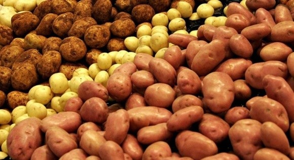 Експерт пояснив, чому українська картопля дорожча, ніж закордонна фото, ілюстрація