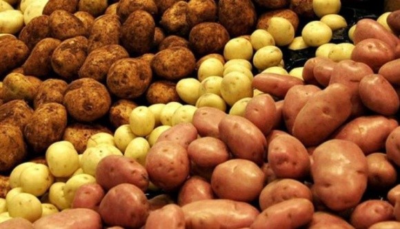 У Мінекономіки планують заборонити імпорт картоплі з РФ фото, ілюстрація