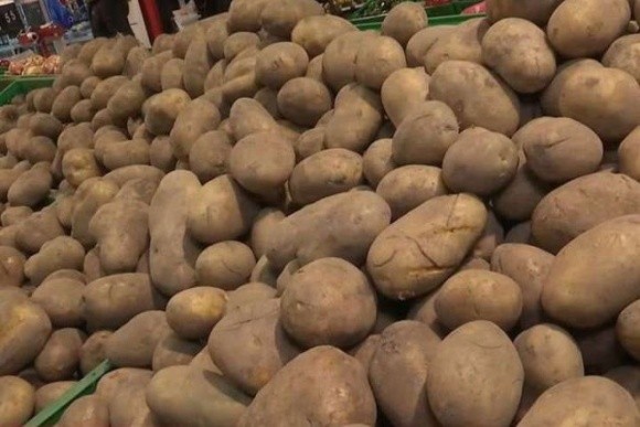 На Чернігівщині рекордний врожай картоплі стримує ріст закупівельних цін фото, ілюстрація