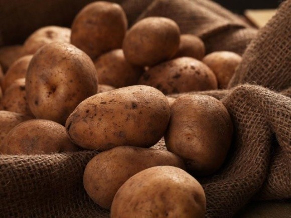 Українці третій рік поспіль будуть з картоплею, – висновки експерта фото, ілюстрація