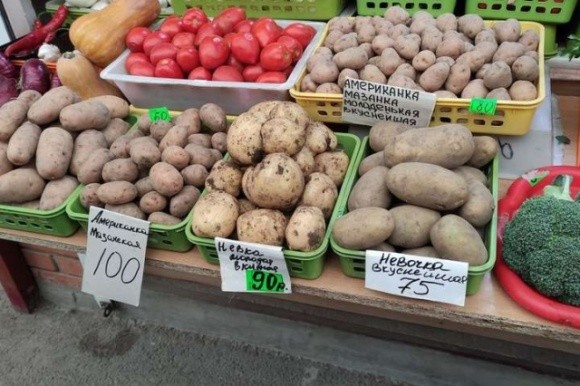 Золоті коренеплоди. З чим пов'язане різке подорожчання картоплі на ринках Севастополя? фото, ілюстрація