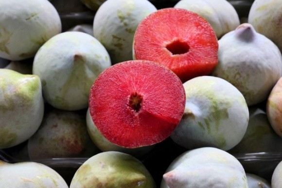 Чорні абрикоси та «кавунові сливи»: ізраїльська ферма вирощує унікальні фрукти фото, ілюстрація