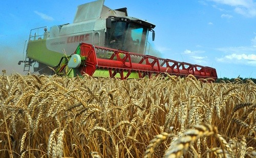 Сівбу зерновых в Житомирській області завершено на 96% запланованих площ фото, ілюстрація
