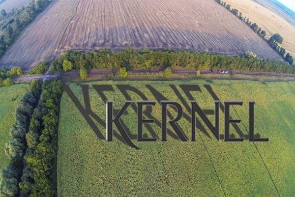 "Кернел" став 100%  власником "Українських аграрних інвестицій" фото, ілюстрація
