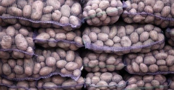 На Кіровоградщині падають ціни на картоплю фото, ілюстрація