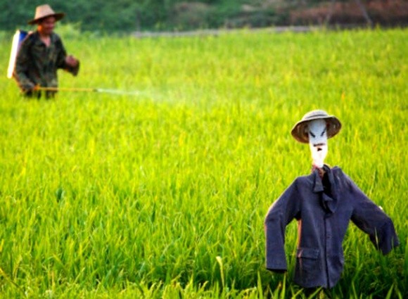 Китайські вчені розробили «розумний» пестицид фото, ілюстрація