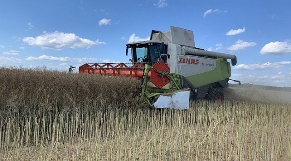 На Київщині зібрали понад 5 млн тонн врожаю фото, ілюстрація