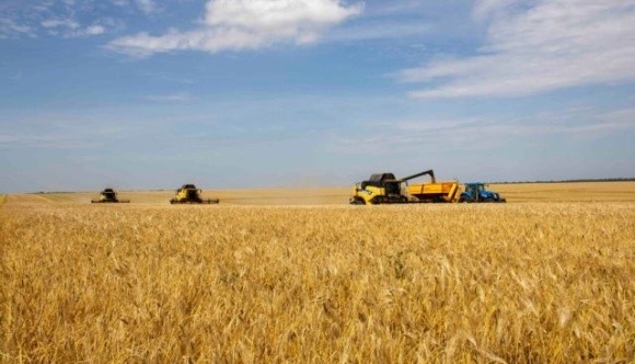 На Київщині зібрали понад мільйон тонн зернових фото, ілюстрація