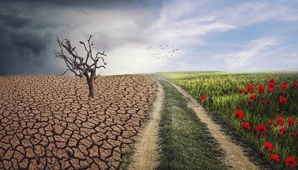 Кліматичні зміни можна використати для розвитку агросектору, – Тарас Висоцький фото, ілюстрація