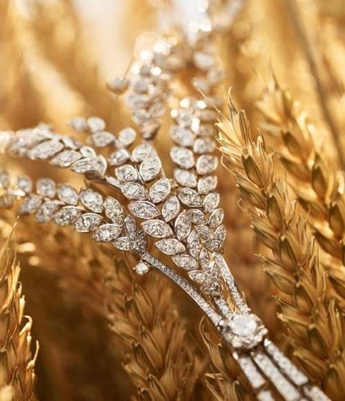 Колоски пшениці від Chanel: діамантові зерна і платинові стебла (ФОТО) фото, ілюстрація