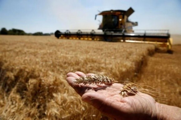 Окупанти на Херсонщині вивозять зерно та відбирають землю фото, ілюстрація