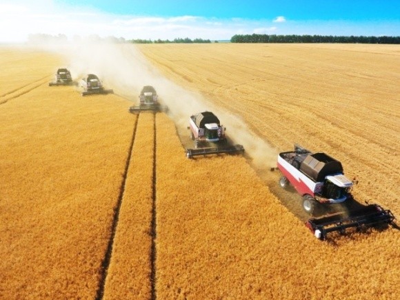 На Дніпропетровщині уже намолотили 2 млн тонн пшениці фото, ілюстрація
