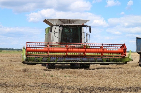 На Дніпропетровщині урожайність озимої пшениці на 10% більша, ніж торік фото, ілюстрація