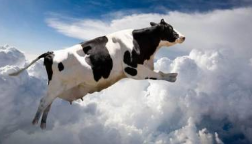 На Черкащині в грудні вирізали більше корів, ніж за увесь рік фото, ілюстрація