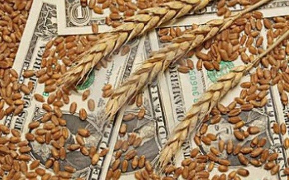 Корупційна складова при експорті зерна знизилась до нуля фото, ілюстрація