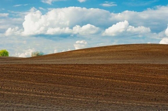 Корупція в земельних відносинах – результати дослідження фото, ілюстрація