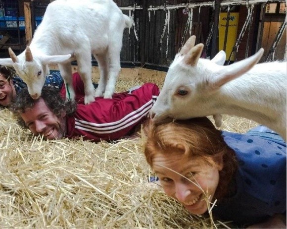 На нідерландських фермах можна зайнятися йогою з козами фото, ілюстрація