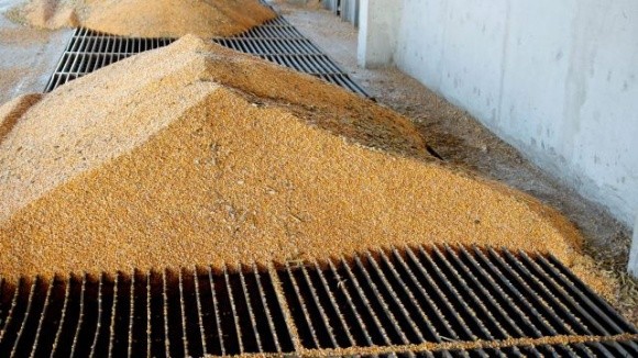 Вкрали зерна на 23 млн грн – НАБУ повідомило про підозру екс-директору інституту НААН та приватному підприємцю фото, ілюстрація